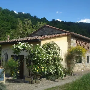affittacamera-il-cielo-bio.it-tuscanyhotel.com/